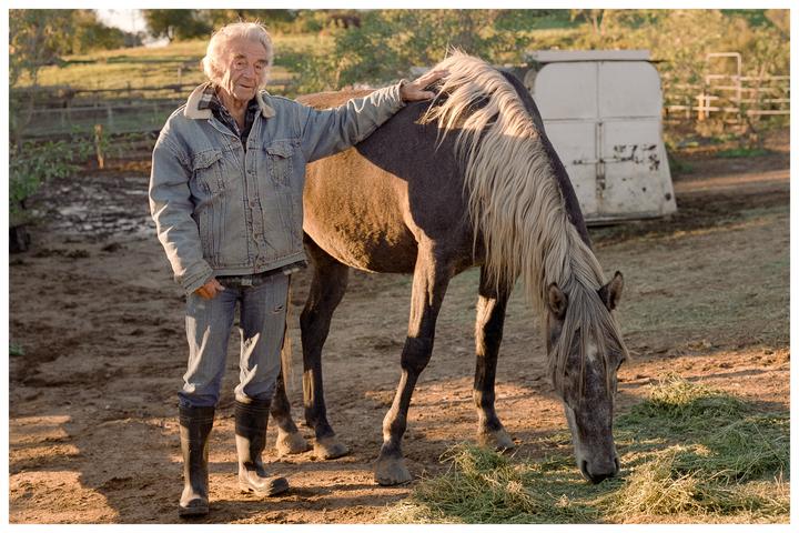 An elderly man in a denim jacket stands next to a horse grazing on hay.