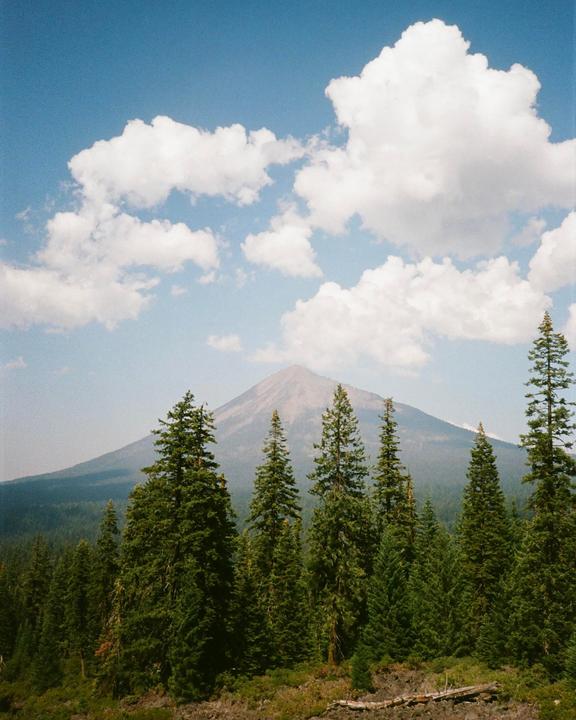 A mountain rises above a forest of pine trees under a blue sky with white clouds.
