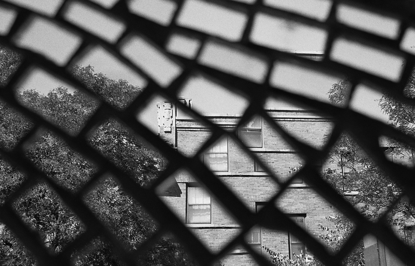 A brick building with windows and trees is visible through a diamond-patterned fence.