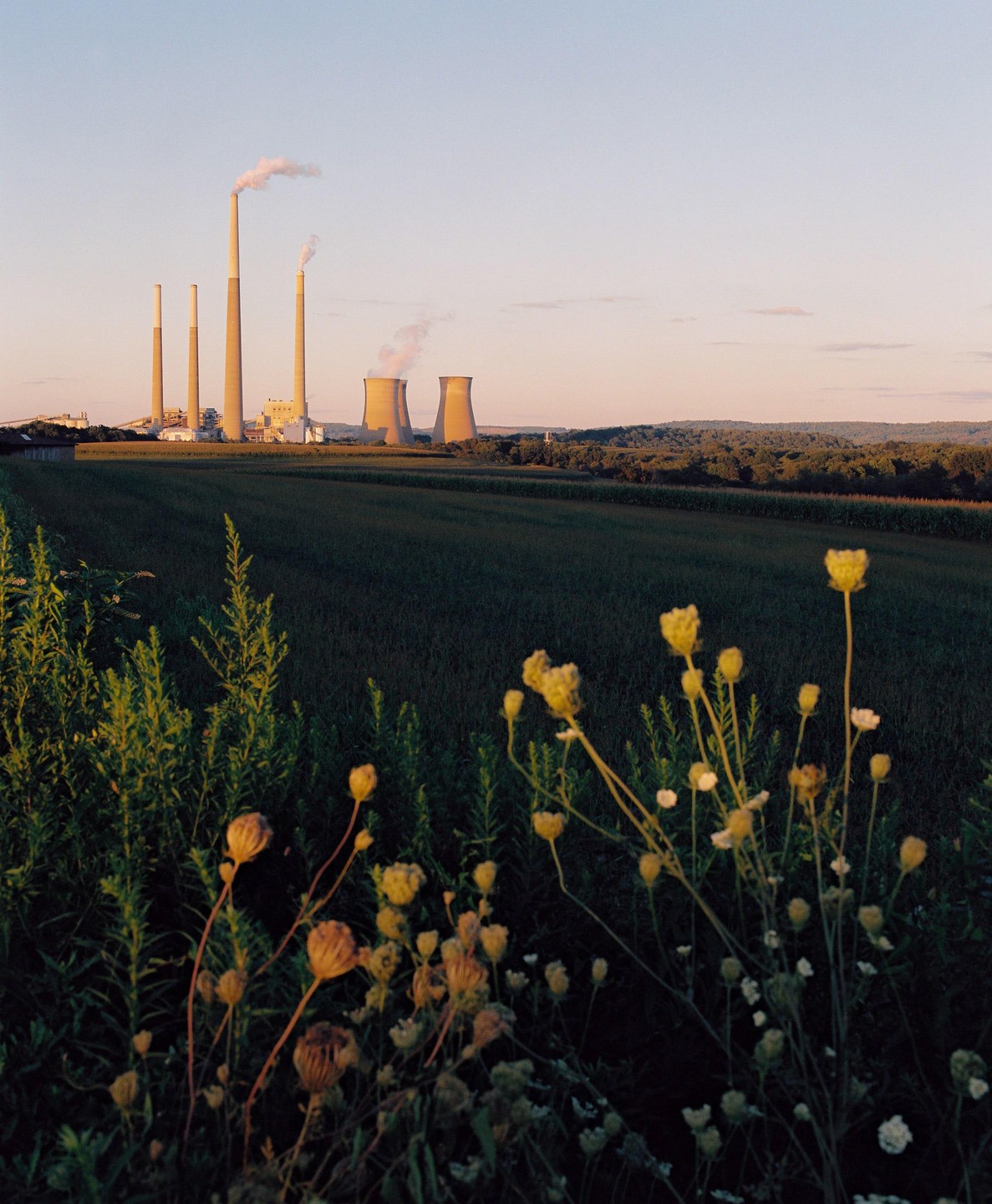A power plant with multiple smokestacks and cooling towers emits smoke into the sky above a field of crops and wildflowers at dusk.
