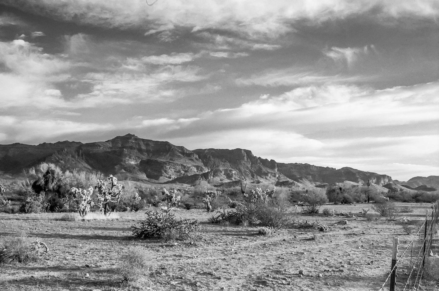 A desert landscape with mountains and cacti under a cloudy sky.
