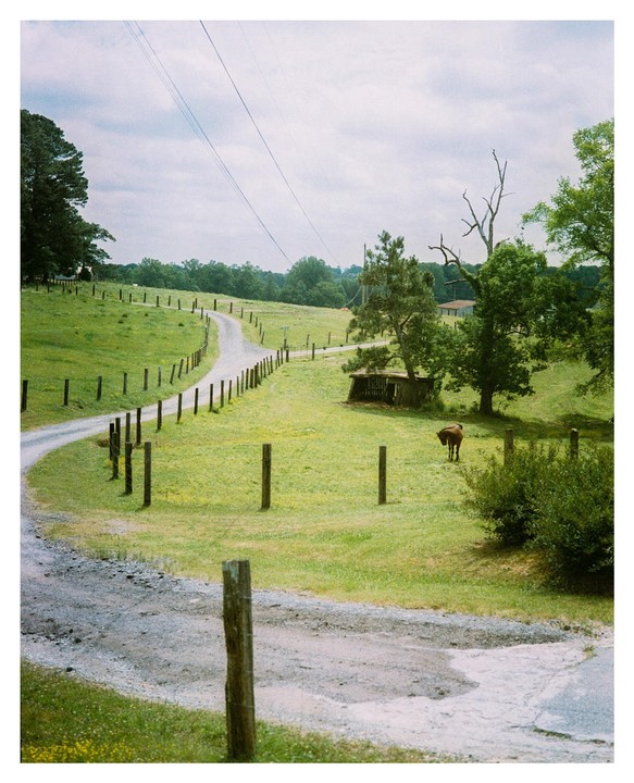 A dirt road curves through a green pasture with a horse grazing near a small shelter.