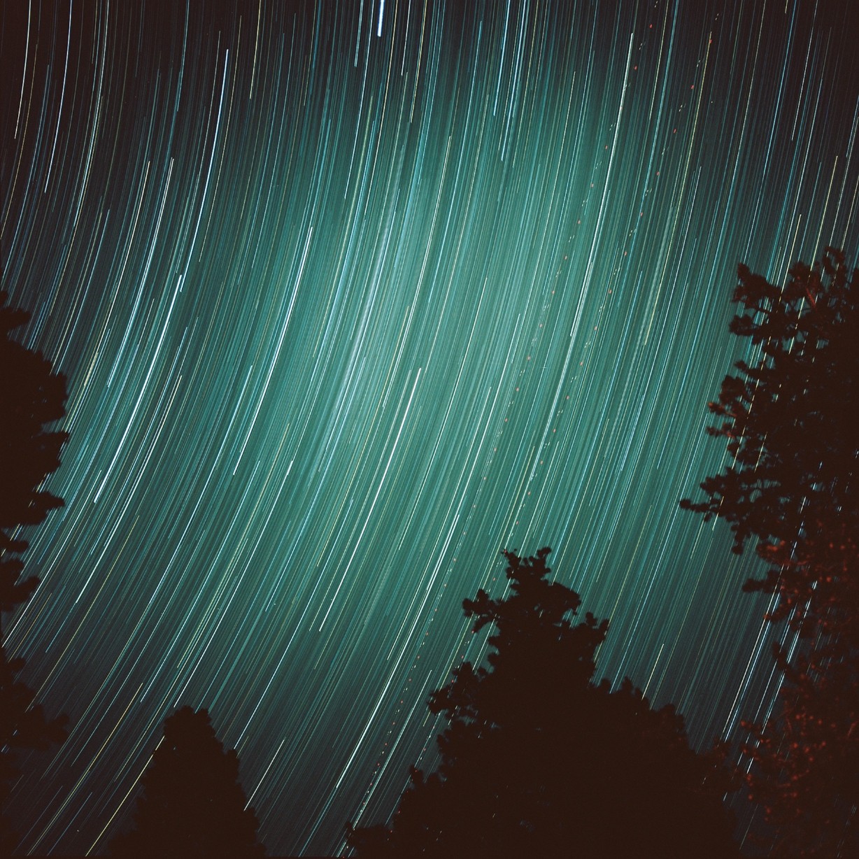 Star trails streak across the night sky above silhouetted trees.