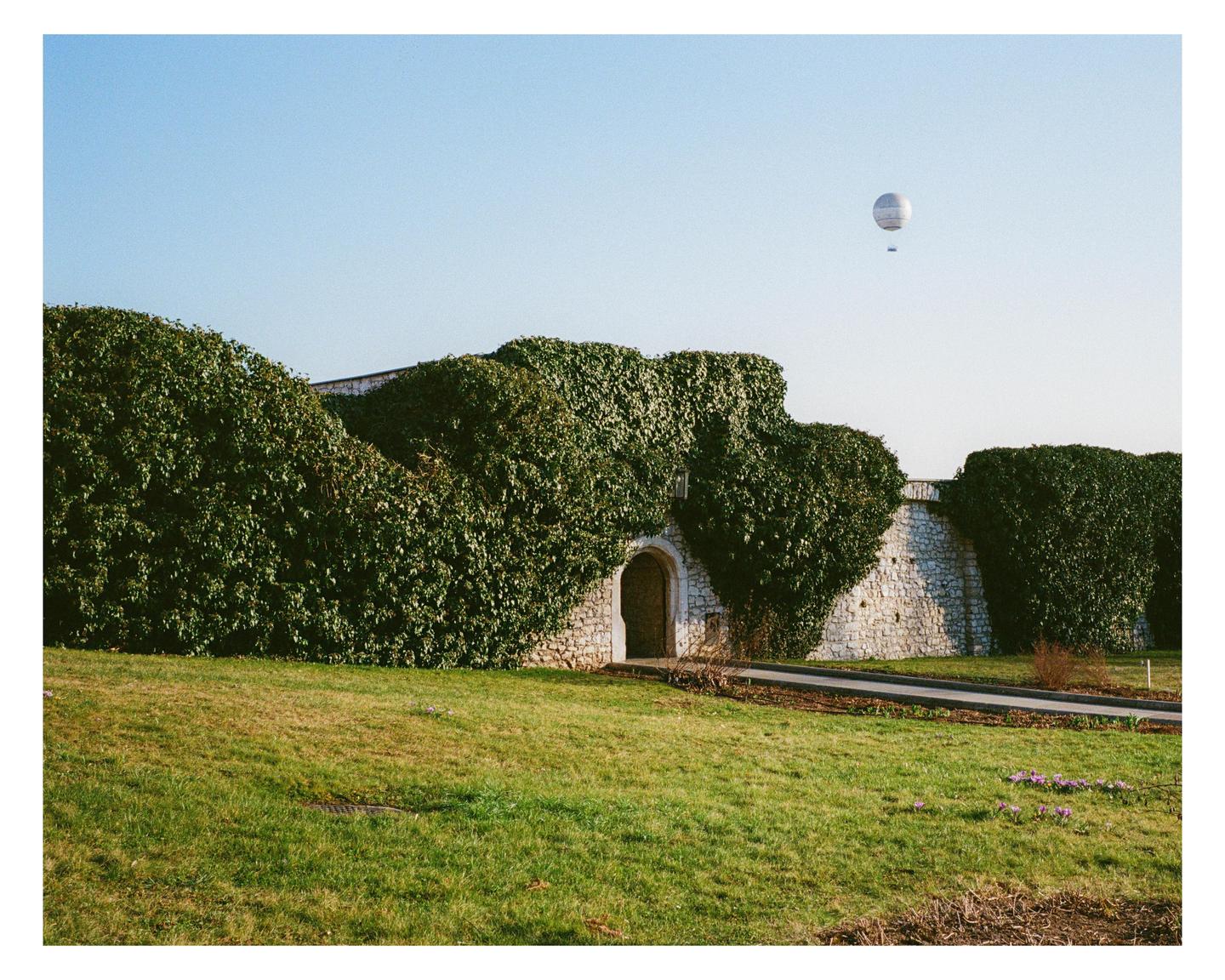 A hot air balloon floats above a stone wall covered in ivy next to a grassy field.