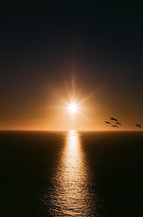 The sun sets over the ocean with a bright sunburst and several birds flying across the sky.