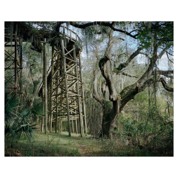 A wooden structure stands tall amidst a dense forest with Spanish moss hanging from trees.