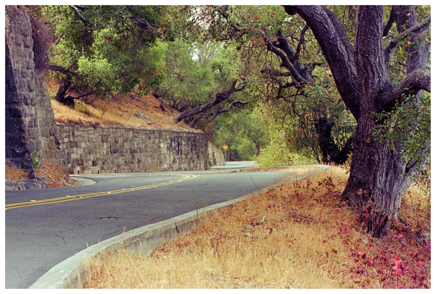 A winding road with a stone wall on the left and trees on the right leads into the distance.