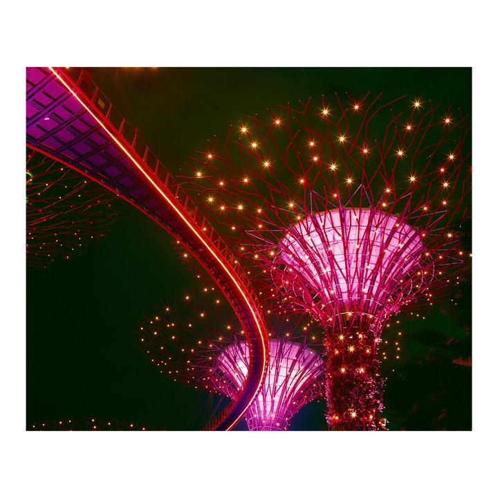 Two illuminated supertrees with a curved walkway between them glow against a dark night sky.