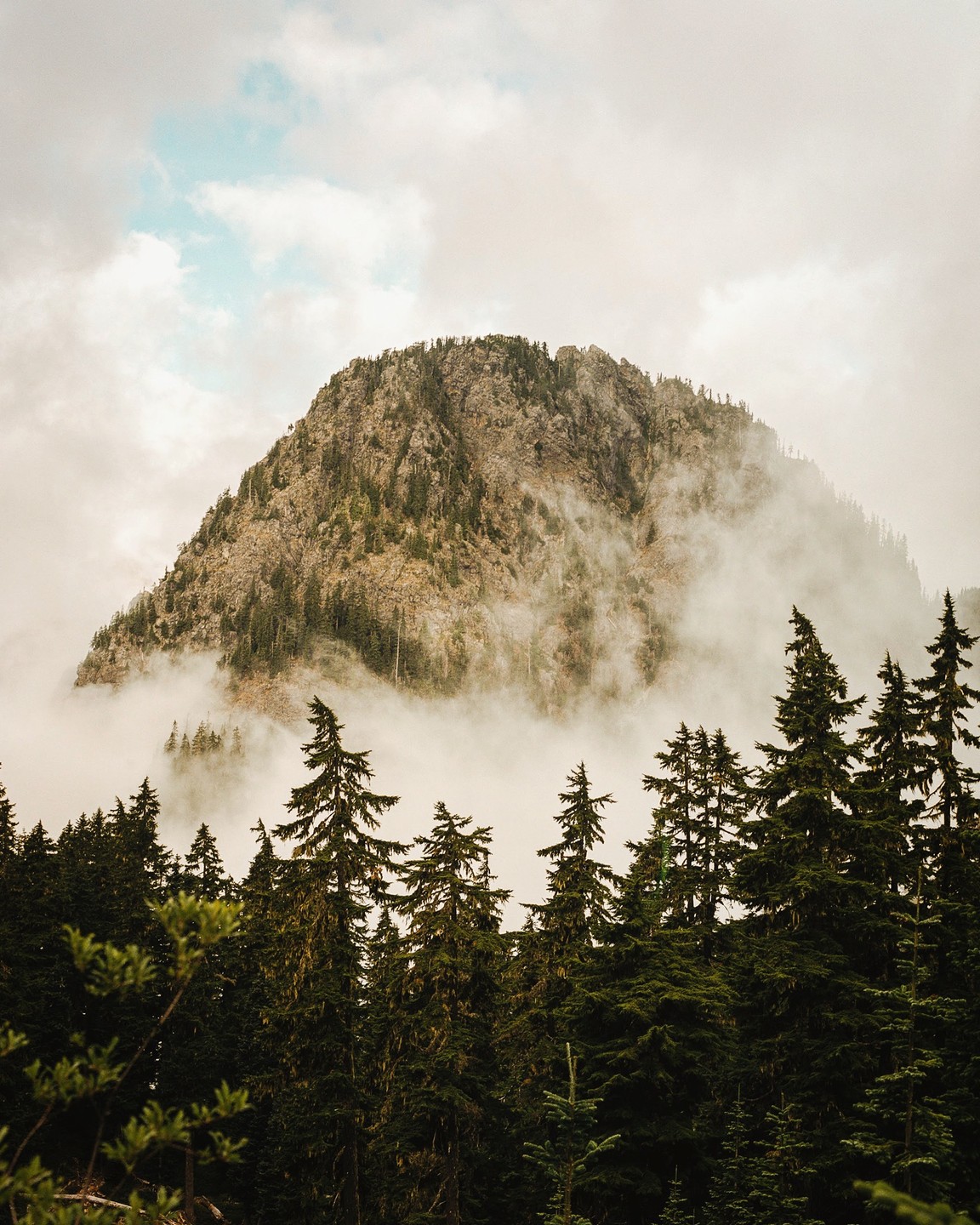 A rocky mountain peak is partially obscured by fog, with a forest of pine trees in the foreground.