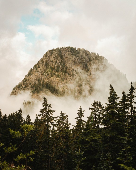 A rocky mountain peak is partially obscured by fog, with a forest of pine trees in the foreground.
