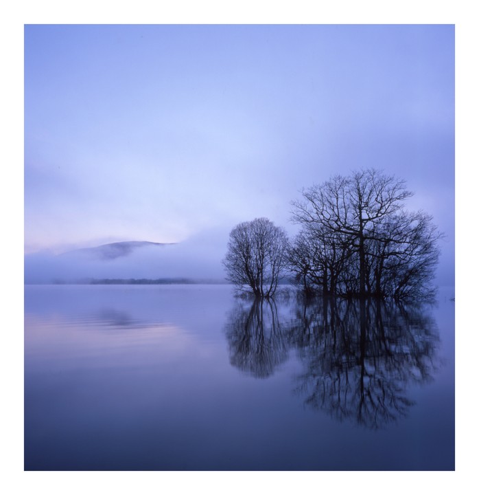 Bare trees stand in a body of water, reflecting in the still surface, with a fog-covered mountain in the background.