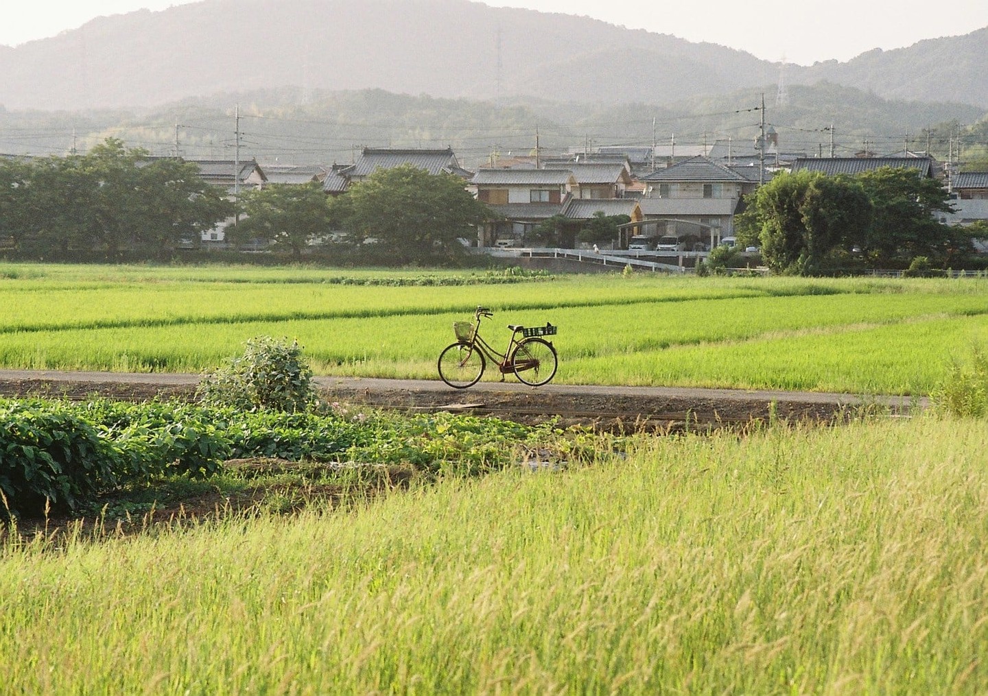 A bicycle is parked on a dirt road between a green field and a village with mountains in the background.