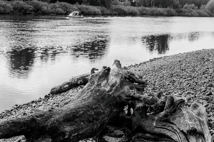 A large piece of driftwood rests on a rocky riverbank with a boat in the distance.