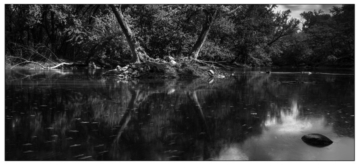 A black and white landscape shows a river with trees and their reflections on the water.