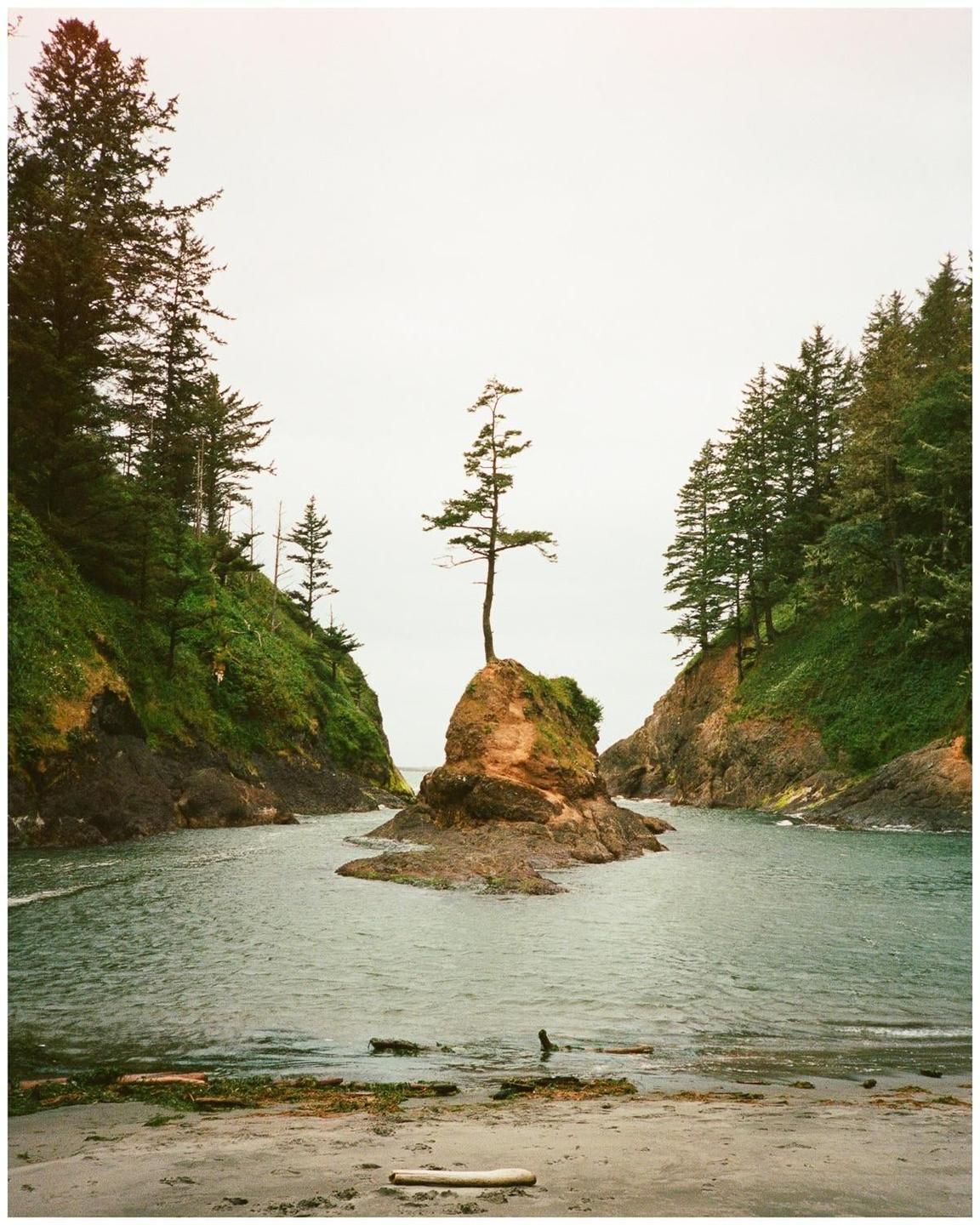 A lone tree stands on a small rocky island in a cove surrounded by forested cliffs.