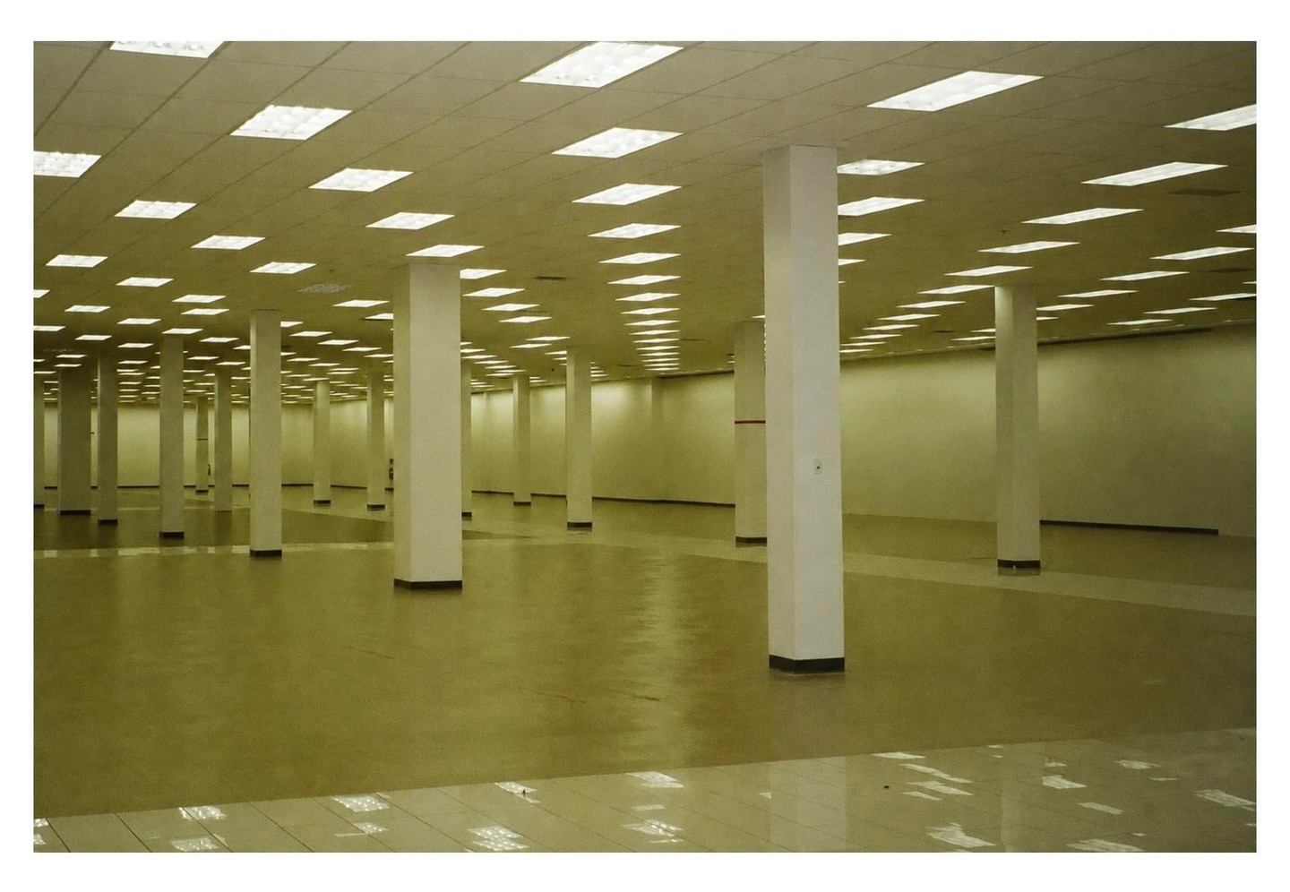 A large empty room with many pillars and fluorescent lights on the ceiling.