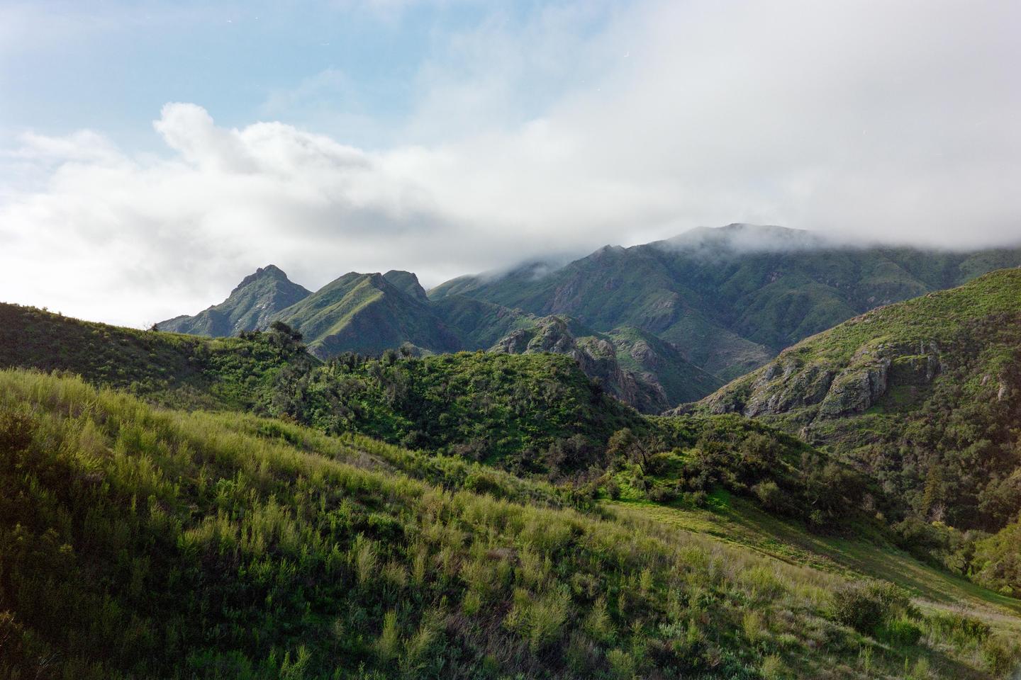 Clouds hang low over the green, rolling hills of the Santa Monica Mountains.