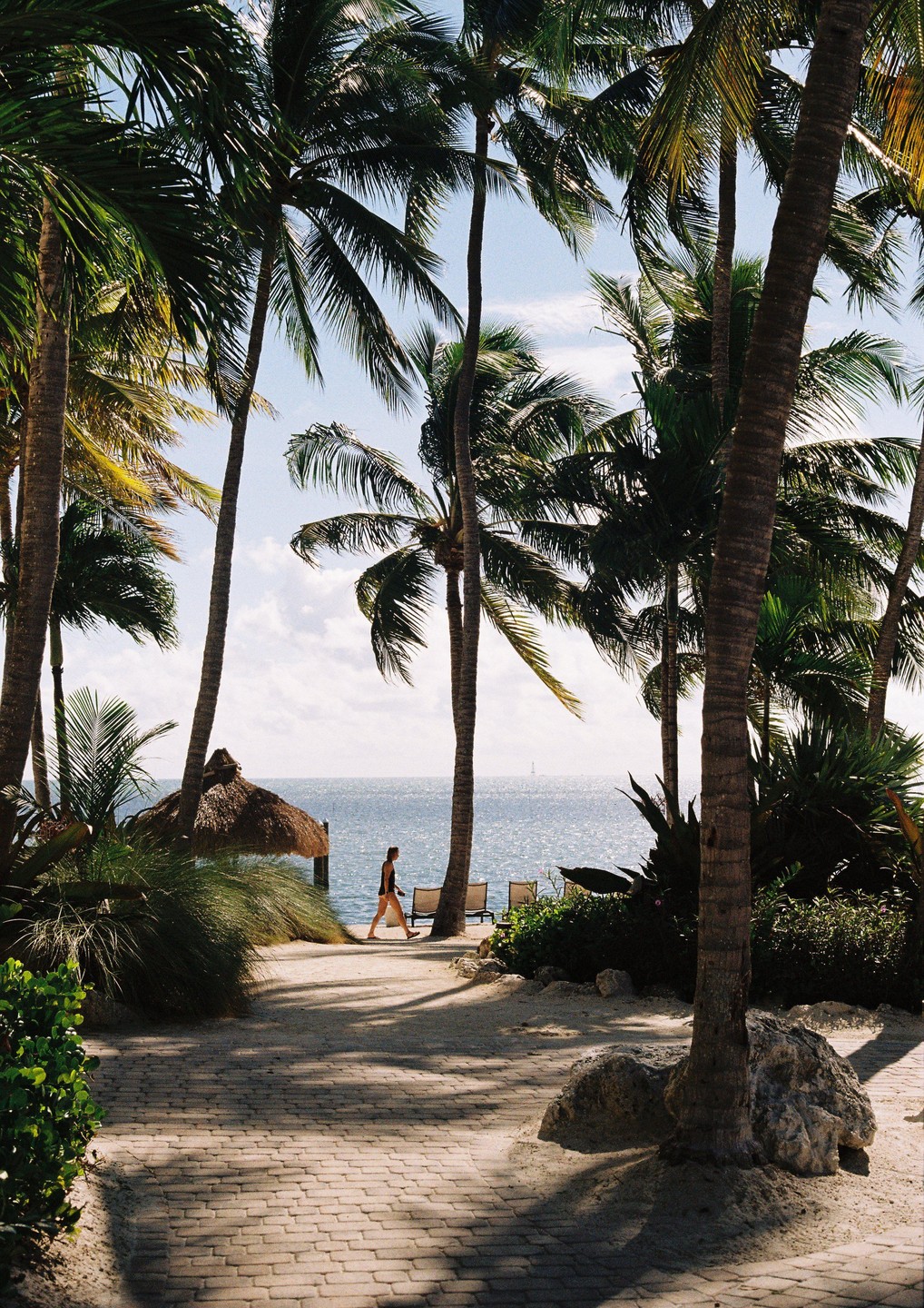 A woman walks along a paved path lined with palm trees towards the ocean.
