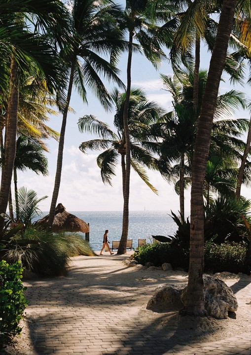 A woman walks along a paved path lined with palm trees towards the ocean.