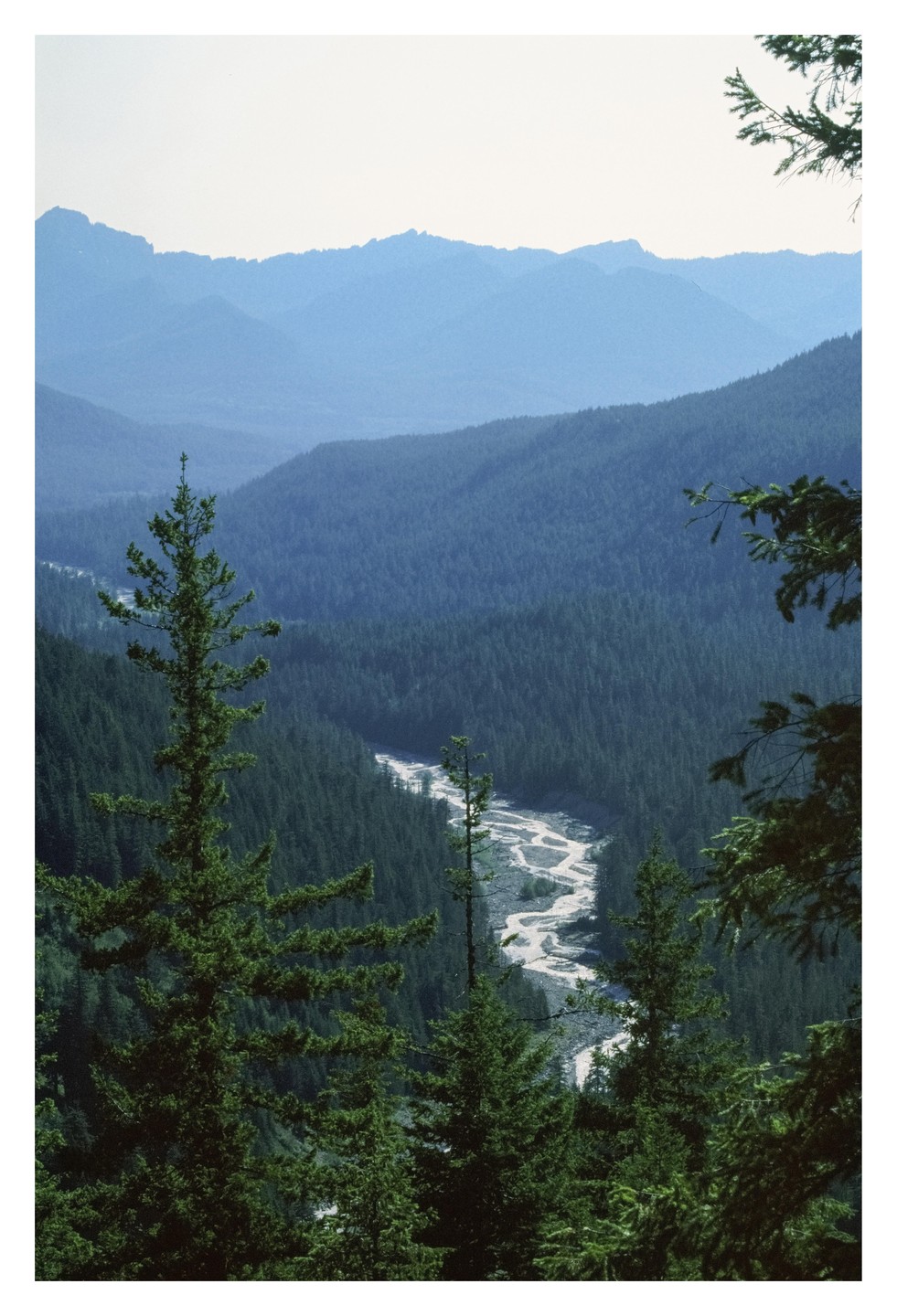 A winding river flows through a valley filled with evergreen trees, with mountains in the distance.