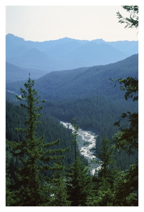 A winding river flows through a valley filled with evergreen trees, with mountains in the distance.