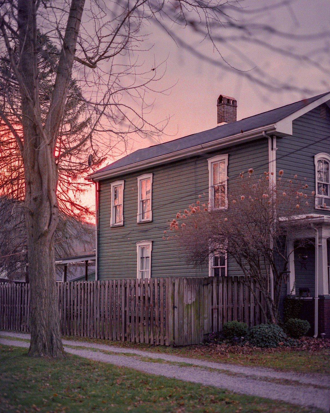 A green house with a wooden fence and a bare tree is visible under a pink sky.