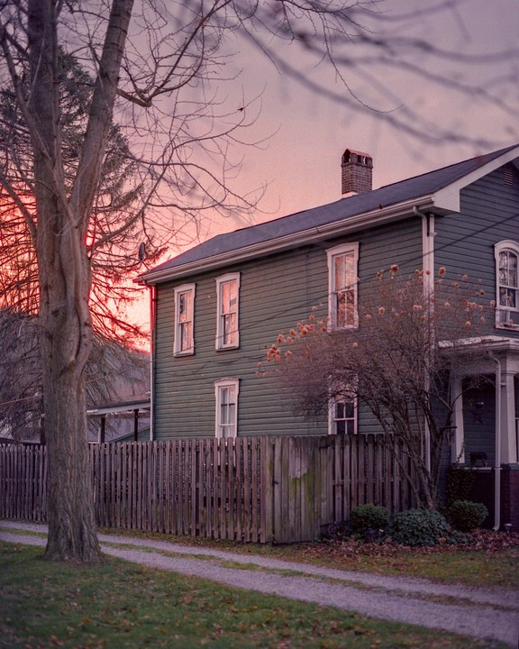 A green house with a wooden fence and a bare tree is visible under a pink sky.