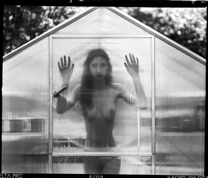 A nude woman stands behind the translucent wall of a greenhouse, pressing her hands against the surface.