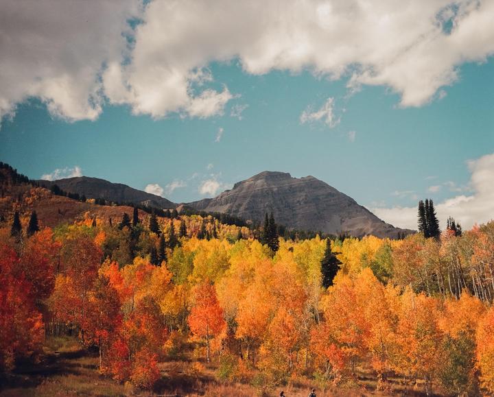 A mountain rises above a forest of trees with autumn foliage under a blue sky with clouds.