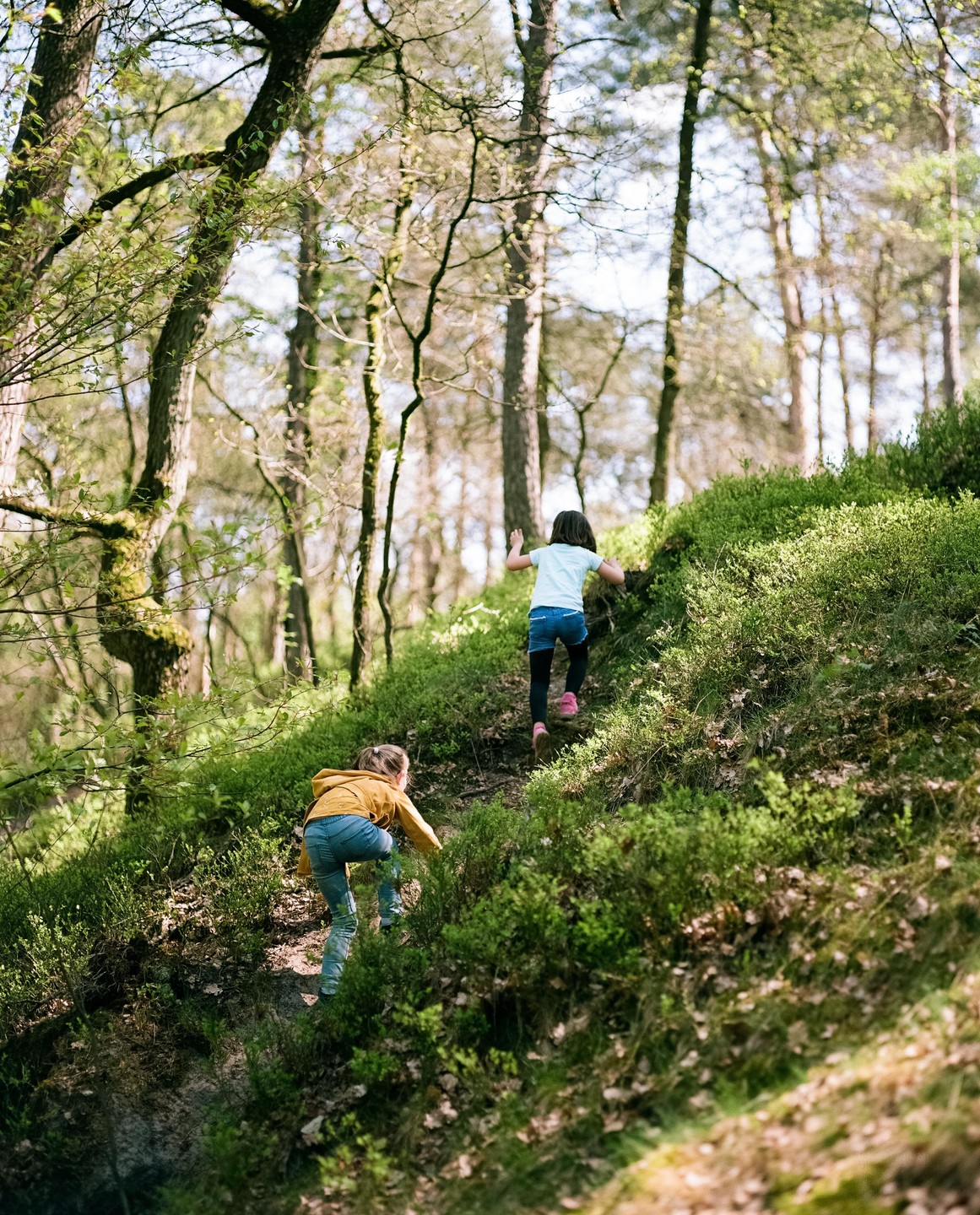 Two children climb a steep, grassy hill in a forest.