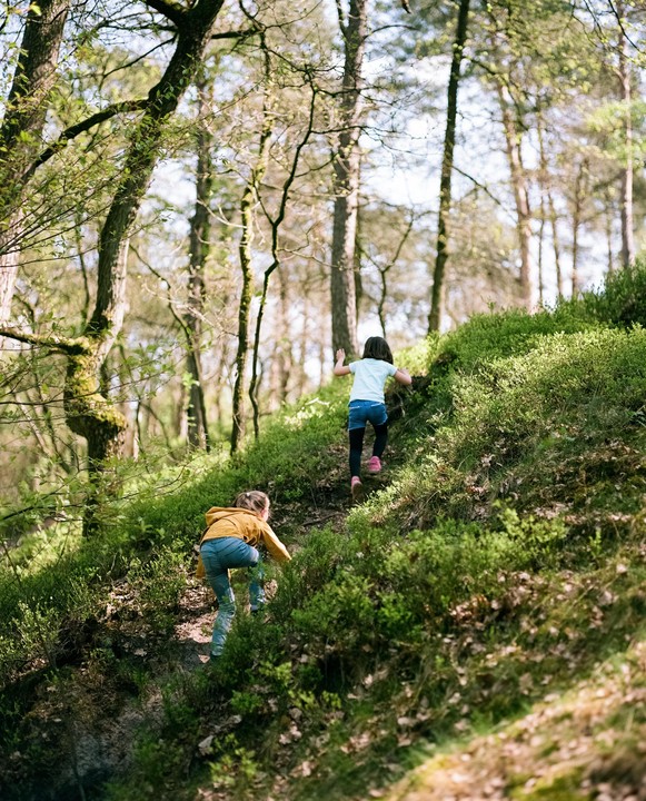 Two children climb a steep, grassy hill in a forest.
