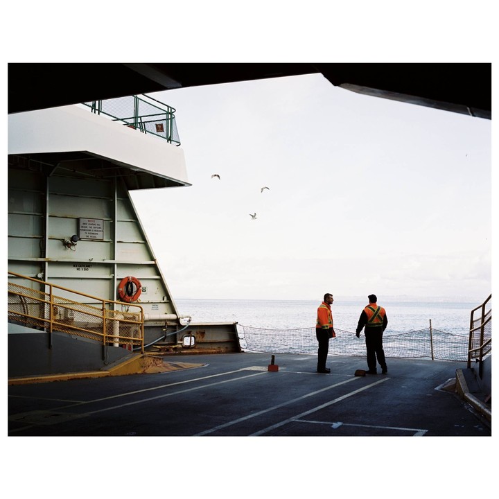 Two men in safety vests stand on the deck of a ferry looking out at the ocean with seagulls flying overhead.