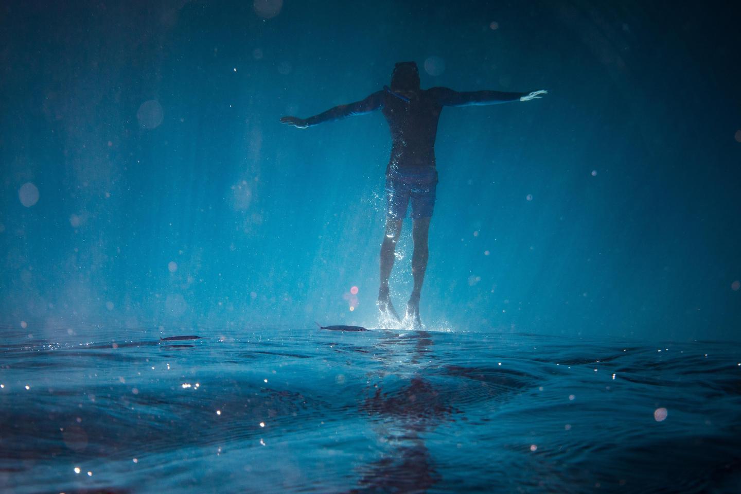 A man in a wetsuit is suspended in blue water with light particles and ripples on the surface.