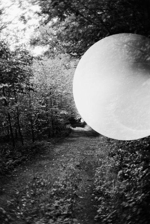 A large, bright, circular flare obscures part of a path through a forest.