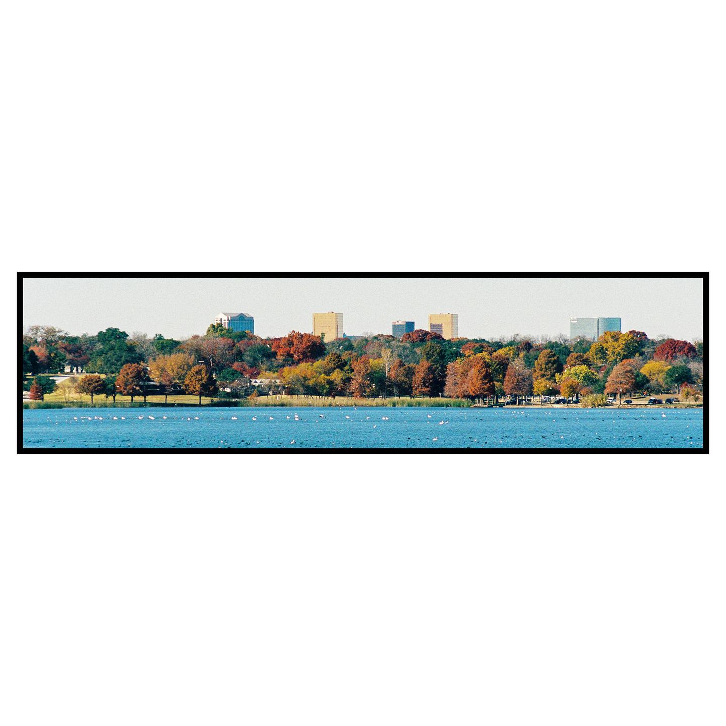 A panoramic view shows a lake with many white birds, a tree-lined shore with autumn foliage, and several buildings in the distance.
