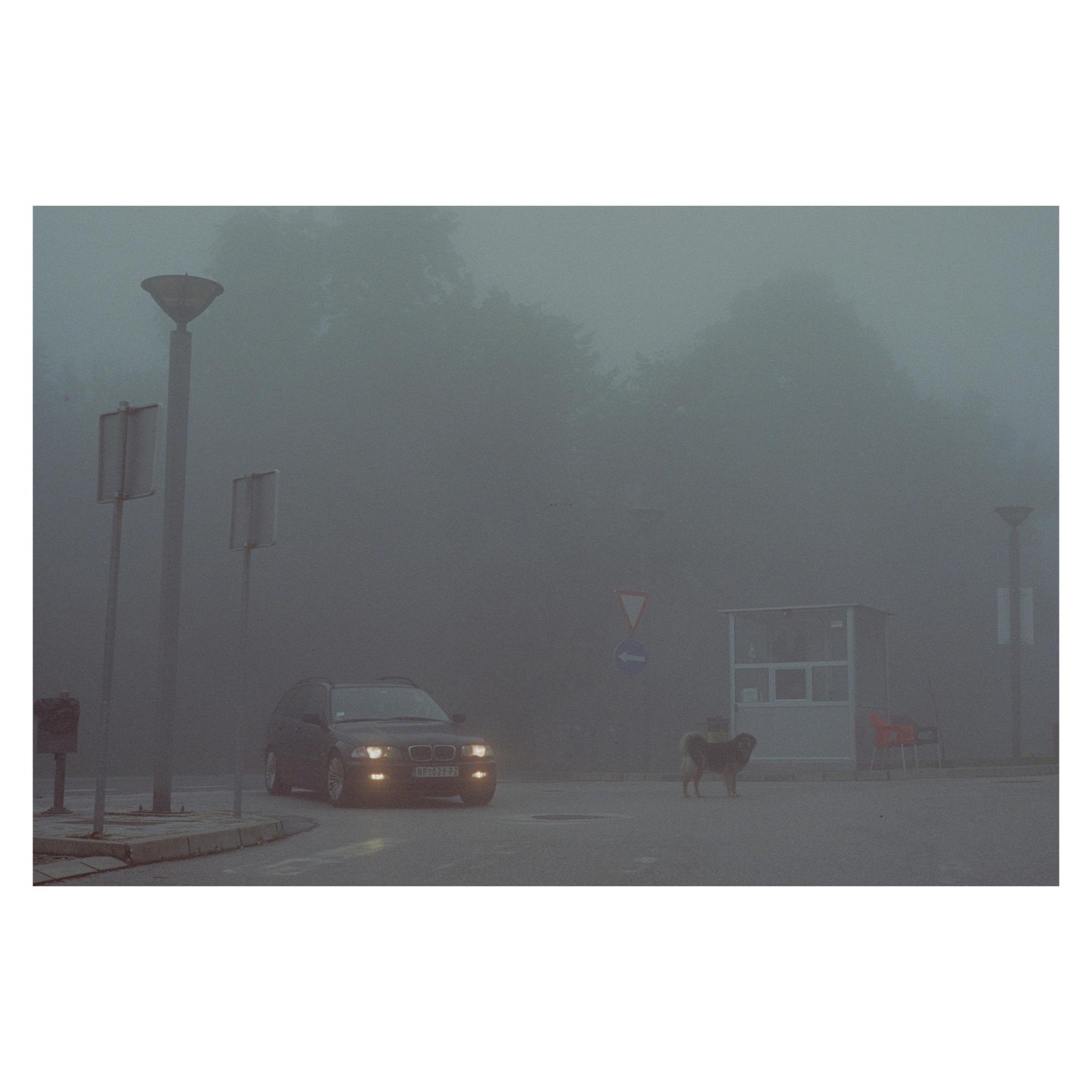 A dog stands in the street next to a car with its headlights on, a small booth, and street signs on a very foggy day.