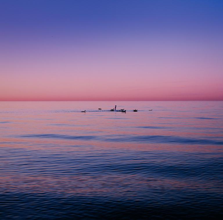 A group of ducks swims on a calm body of water under a colorful sky at dusk.