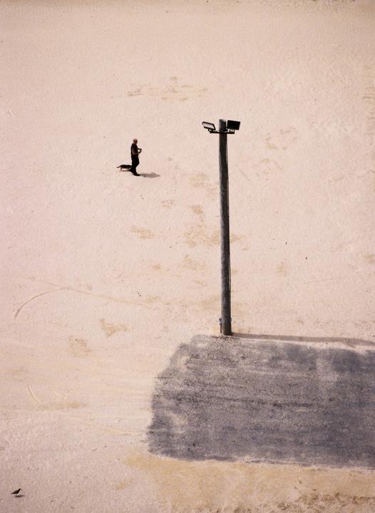 A man and a dog walk across a sandy area next to a light pole casting a shadow.