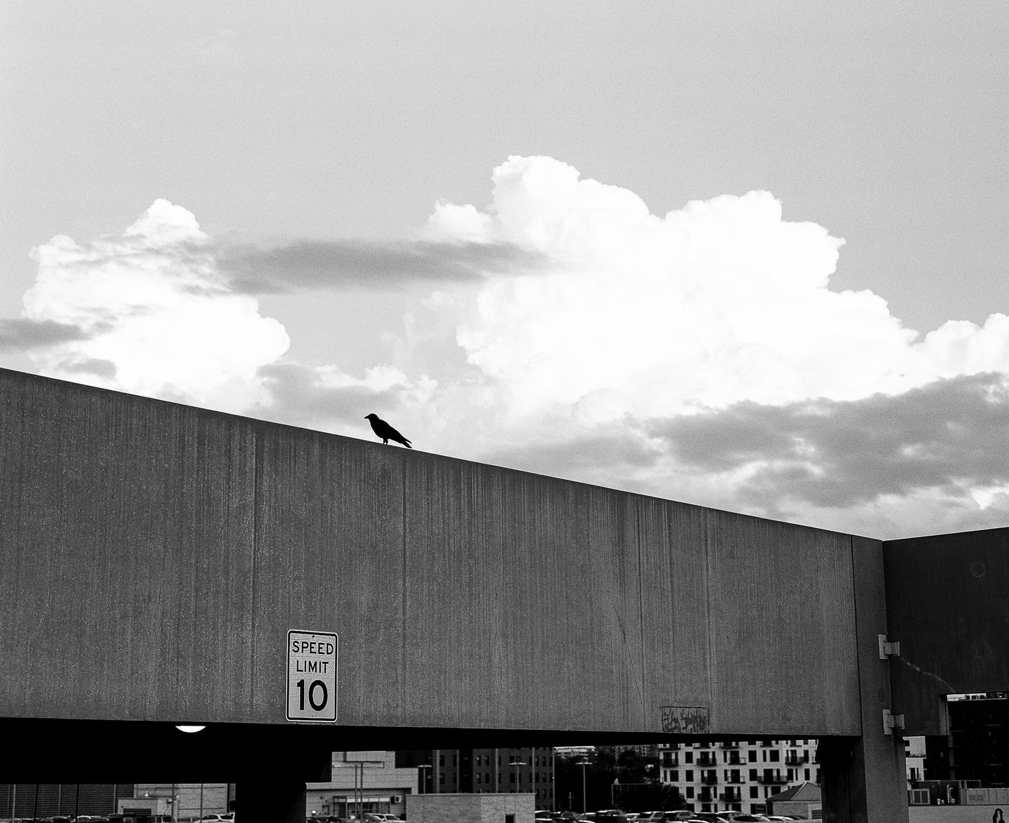 A bird stands on a concrete wall with a speed limit sign, under a cloudy sky.