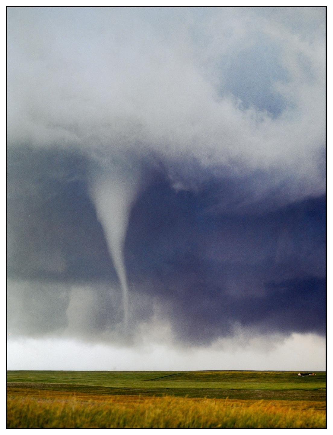 A tornado descends from dark storm clouds over a vast green and yellow field.