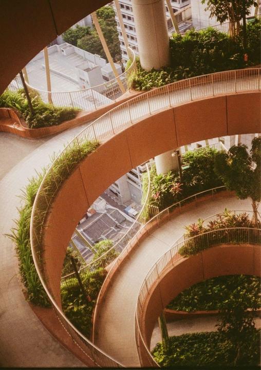 A high-angle view shows a spiral walkway with plants growing along its edges, overlooking a city.