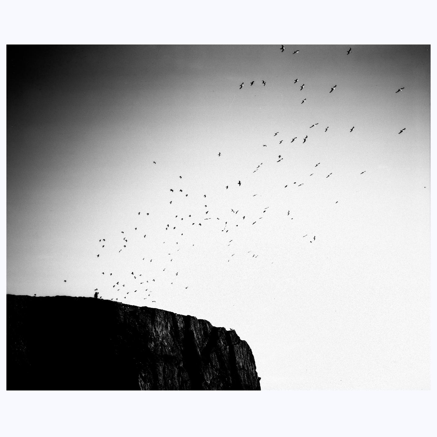 A flock of birds flies above a dark cliff with a person standing on top.