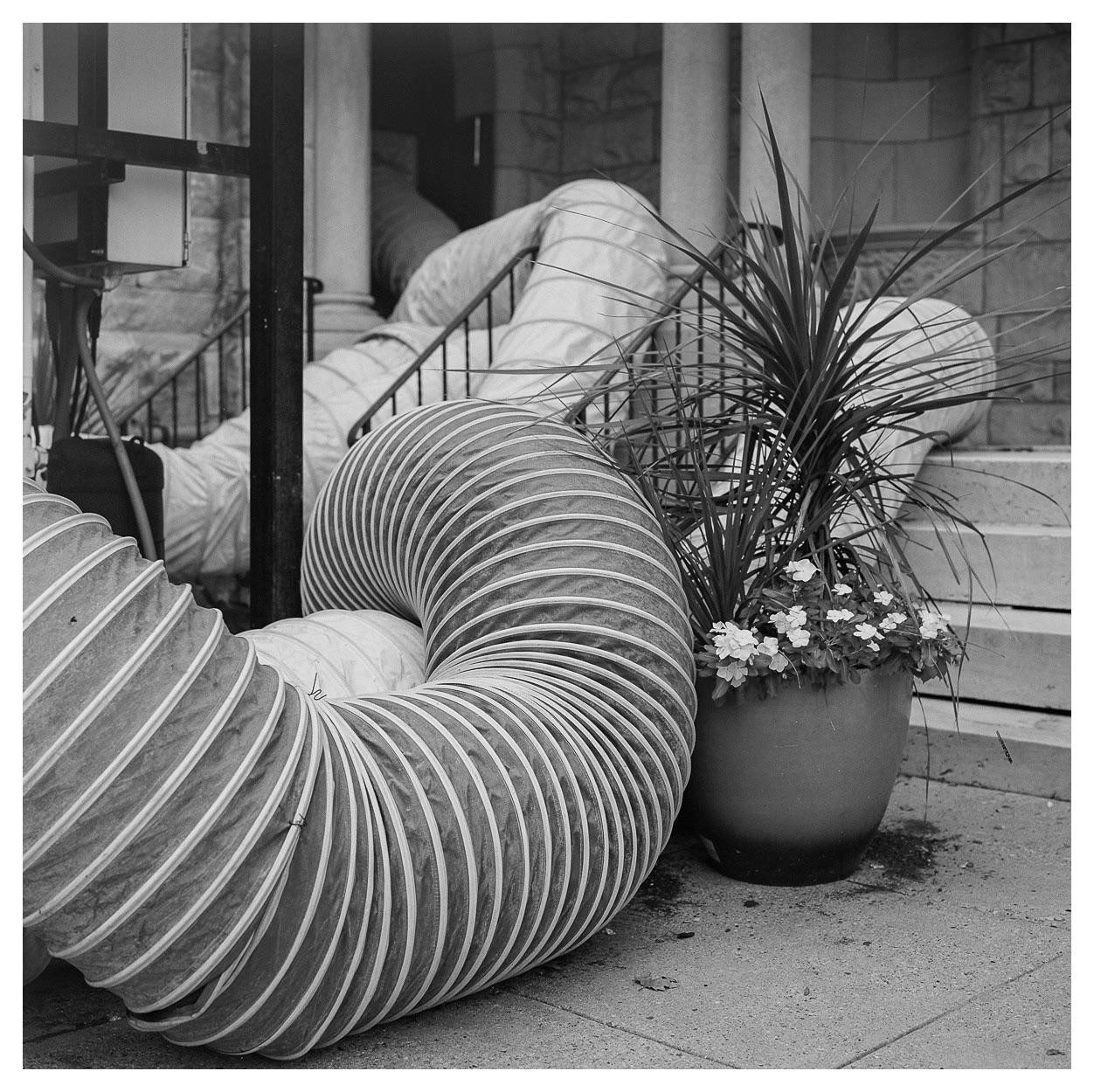 A large flexible duct is coiled on the ground next to a potted plant with flowers and a building entrance.