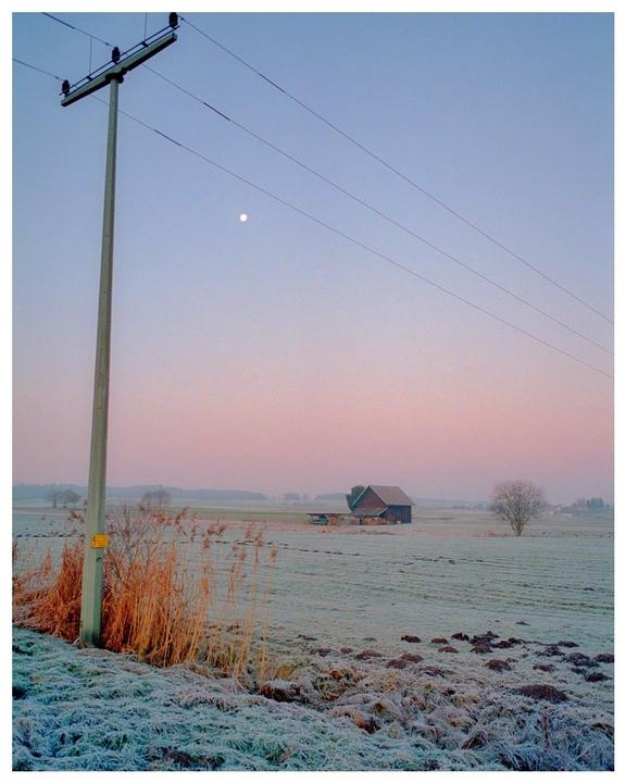 A utility pole stands in a frosty field with a barn and a tree in the distance under a pink and blue sky with the moon visible.