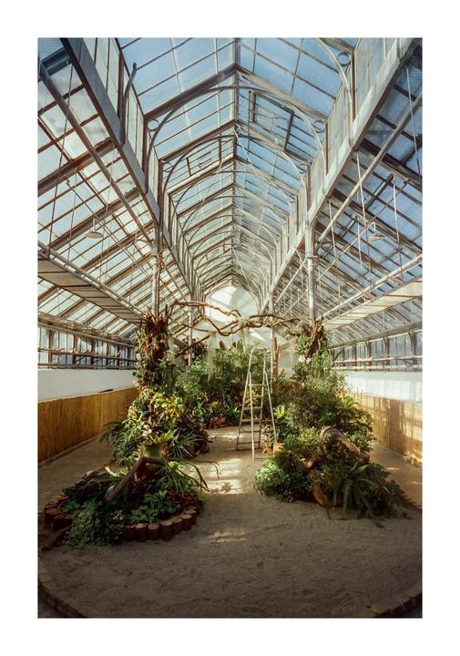 A large greenhouse with a glass roof contains many plants and a ladder.