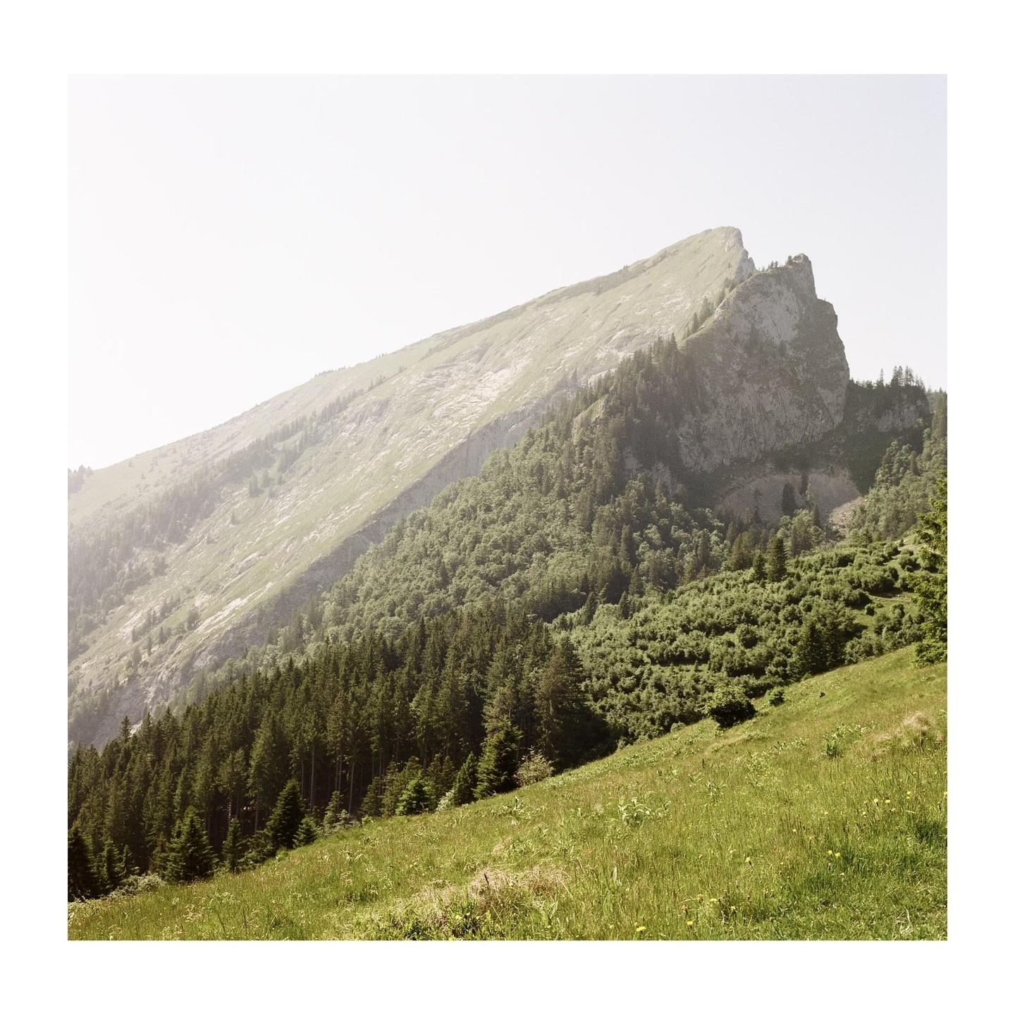 A mountain with a rocky peak and a steep, forested slope rises above a grassy hillside.