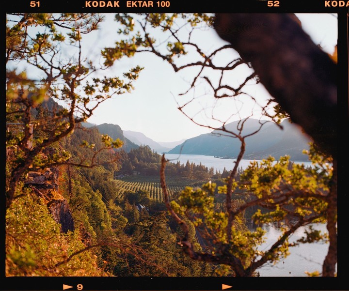 A river winds through a valley with mountains and a vineyard, framed by tree branches.