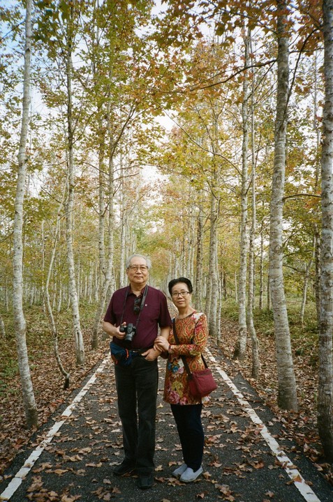 A couple stands on a path covered in autumn leaves, surrounded by tall, slender trees.