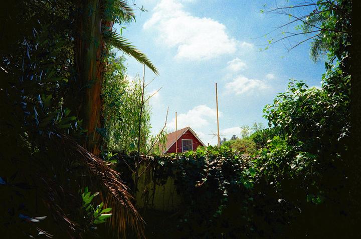 A small red house with a brown roof is visible through dense green foliage under a bright blue sky with white clouds.