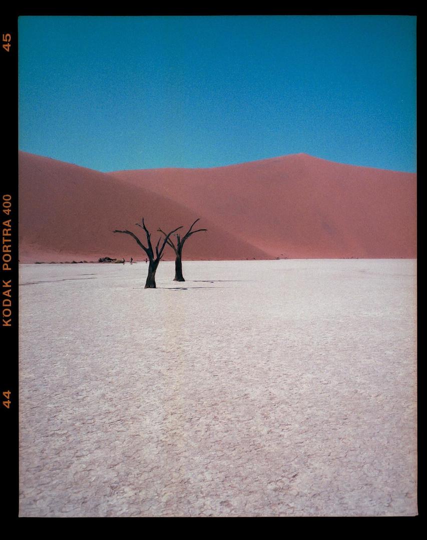 Namibia. Pentax 67, 55mm f4, Kodak Portra 400, tagged desert